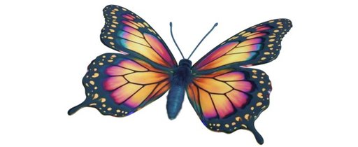3DGS butterfly